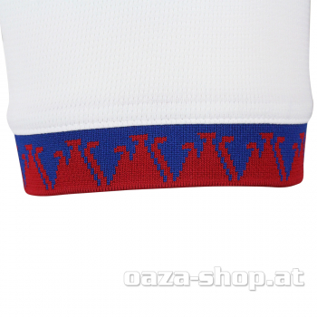 Gostujući dres SRBIJA FSS PUMA 2024