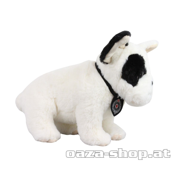 Pišani Buldog PFC